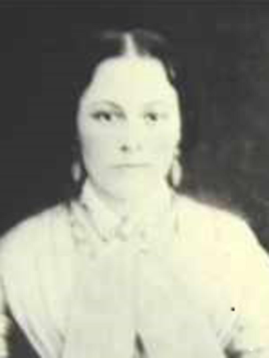 Louisa Leavitt (1835 - 1915) Profile